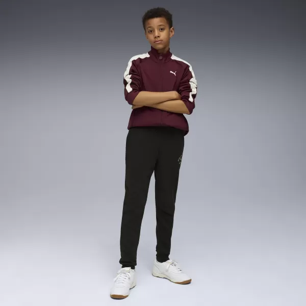  Sledilne obleke PUMA CLASS SWEATPANTS TR B 68885301 PUMA ČRNA 