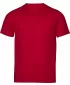Moška majica s kratkimi rokavi TEE JAYS | TJ 1150 IZD