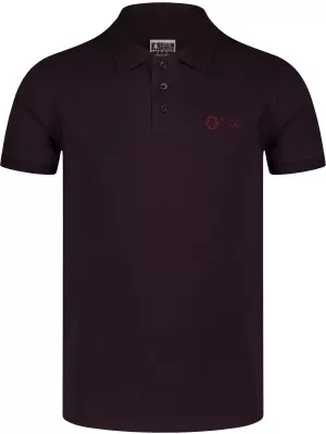 Moška T -majica z ovratnikom NORDBLANC ETERNITY NBSMT8166 RJAVA