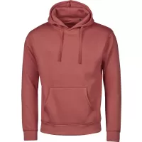 Siva