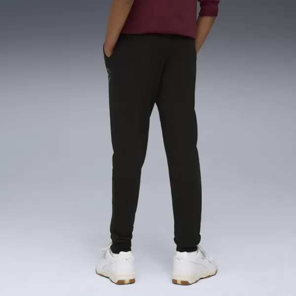  Sledilne obleke PUMA CLASS SWEATPANTS TR B 68885301 PUMA ČRNA 