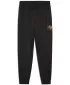 Sledilne obleke PUMA ACTIVE SPORTS GRAPHIC POLY PANTS B 52769301 PUMA ČRNA