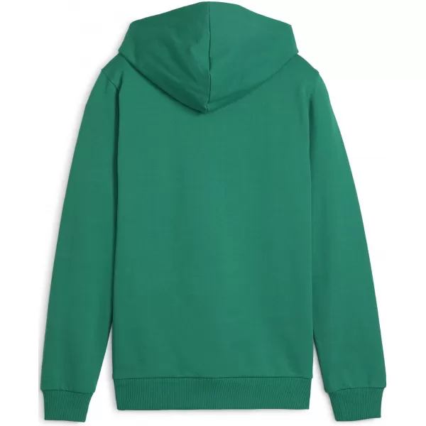  Otroška jopica PUMA TEAMGOAL CASUALS HOODY JR 658619_05 SPORT GREEN/ SPORT GREEN/PUMA WHITE 