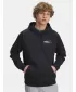 Moški pulover UNDER ARMOUR UA RIVAL FLEECE HBR LOGO HD 6003955-001 ČRNA
