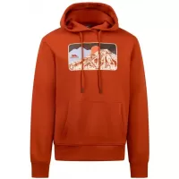 Oranžna