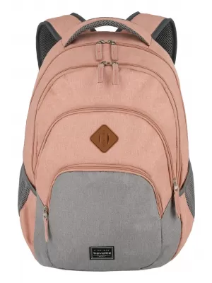 Nahrbtnik TRAVELITE BASICS BACKPACK ROZA/SIVA