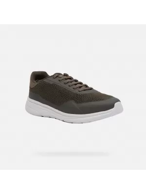 Moške superge GEOX KLAIVER KAKI