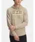 Moški pulover UNDER ARMOUR RIVAL TERRY LOGO HOOD 1390141-299 RJAVA