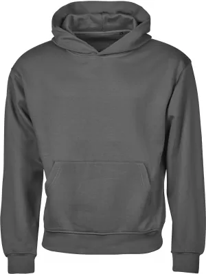 Unisex pulover TEE JAYS | TJ 5162 PRAŠNO SIVA