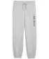 Moške trenirke PUMA M GRAPHIC FRENCH TERRY JOGGER 52770304 SVETLO SIVO VRESJE