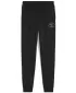 Sledilne obleke PUMA CLASS SWEATPANTS TR B 68885301 PUMA ČRNA