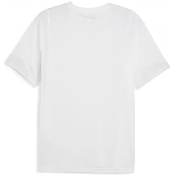  Moški dres PUMA TEAMCUP TRAINING JERSEY 659167_04 PUMA WHITE/PUMA SILVER 