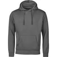 Siva