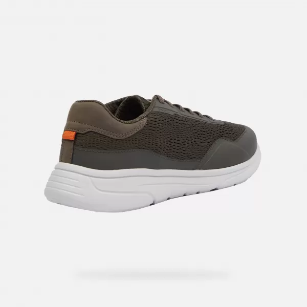  Moške superge GEOX KLAIVER KAKI 