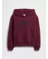 Otroški pulover GAP LOGO HOODIE PULLOVER 839160-00 BORDO LUREX