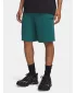 Moške kratke hlače UNDER ARMOUR UA RIVAL LW SHORTS 6009345-338 ZELENA