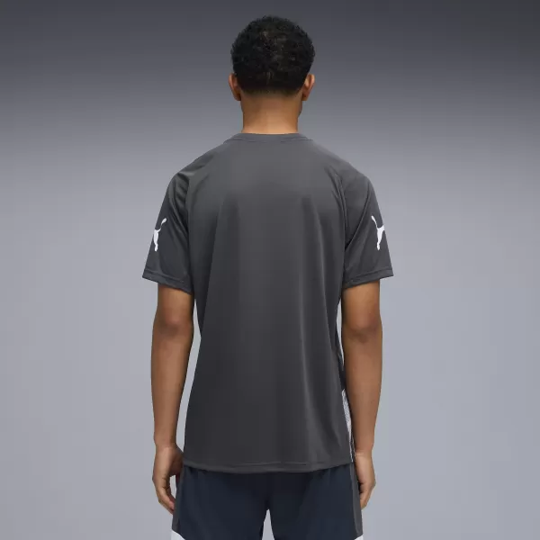  Moška funkcionalna majica PUMA INDIVIDUALLIGA GRAPH JERSEY 660578_02 MINERAL KOBALT/PARNO SIVA 