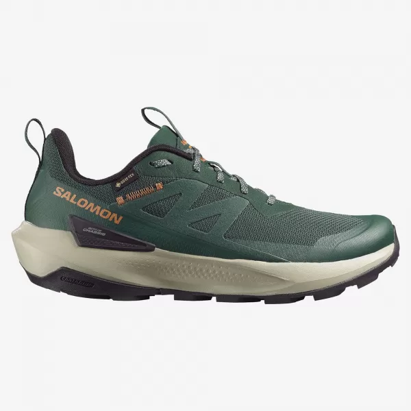  Moški čevlji SALOMON ELIXIR ACTIV GTX L49229800 SKARABEJ/ZELENI ZATREPI/ČILI 