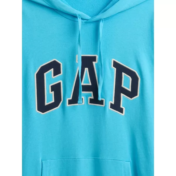 Moški pulover GAP FRENCH TERRY PULLOVER LOGO HOODIE 868460-10 VODNAR 