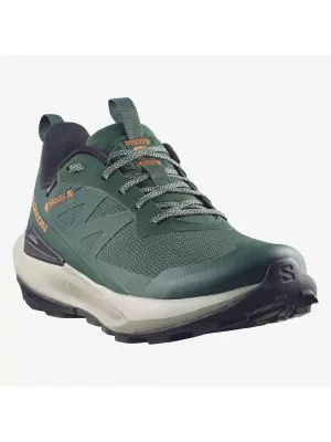 Moški čevlji SALOMON ELIXIR ACTIV GTX L49229800 SKARABEJ/ZELENI ZATREPI/ČILI