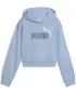 Otroški pulover PUMA ESS 2 COLOR LOGO HOODIE 686072-48 VISOKI TROP