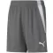 Otroške kratke hlače PUMA TEAMLIGA SHORTS JR 704931-13 SMOKED PEARL/ DIMLJENA PEARL/PUMA BELA