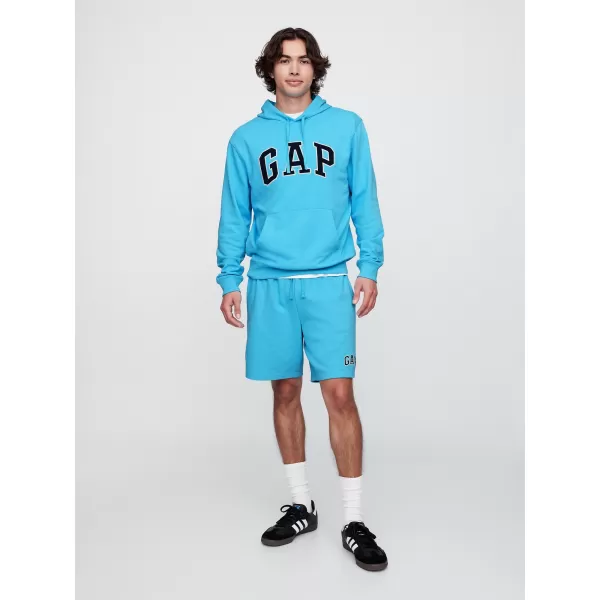  Moški pulover GAP FRENCH TERRY PULLOVER LOGO HOODIE 868460-10 VODNAR 