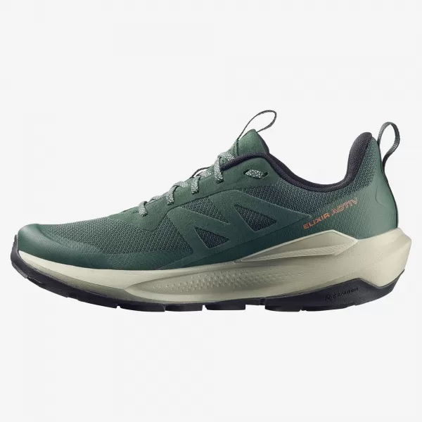  Moški čevlji SALOMON ELIXIR ACTIV GTX L49229800 SKARABEJ/ZELENI ZATREPI/ČILI 