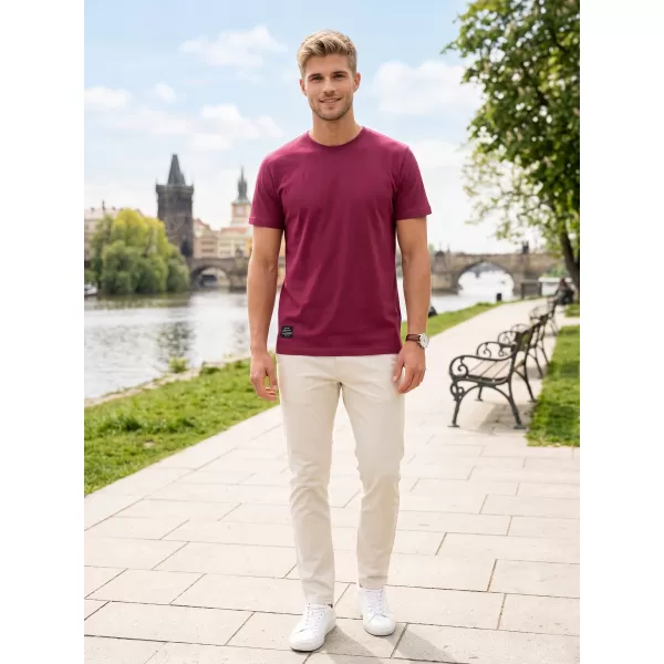  Moška majica s kratkimi rokavi ALTISPORT NP/ALMST20001 BORDO 