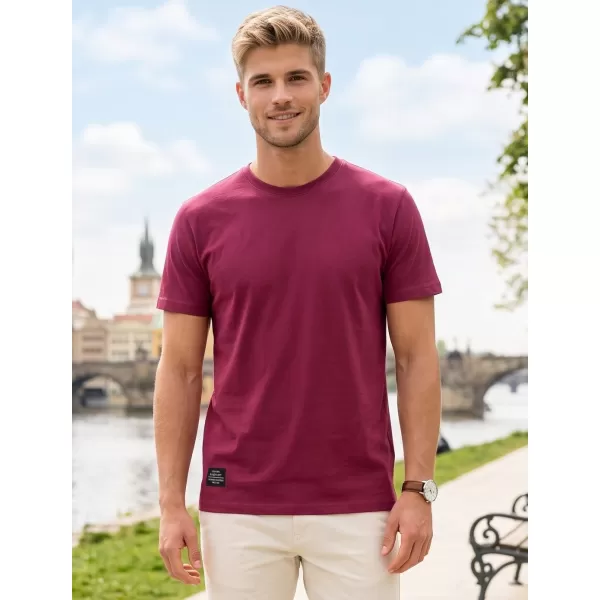  Moška majica s kratkimi rokavi ALTISPORT NP/ALMST20001 BORDO 