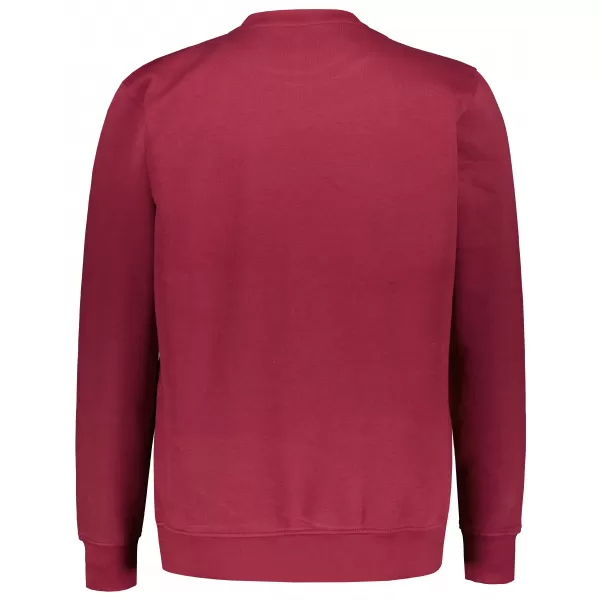  Moški pulover ALTISPORT NP/ALMST43001 BORDO 