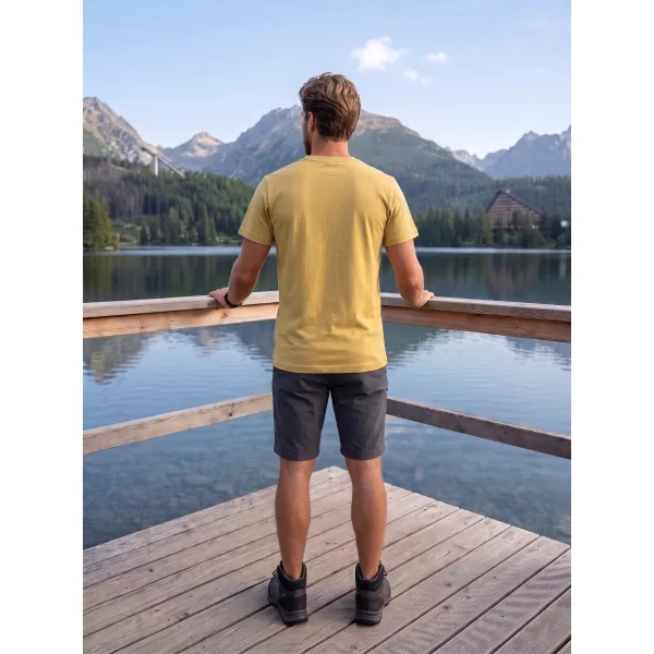  Moška majica s kratkimi rokavi ALPINE PRO TERMES 4 RAZLIČICA JUŽNI MAH PC 