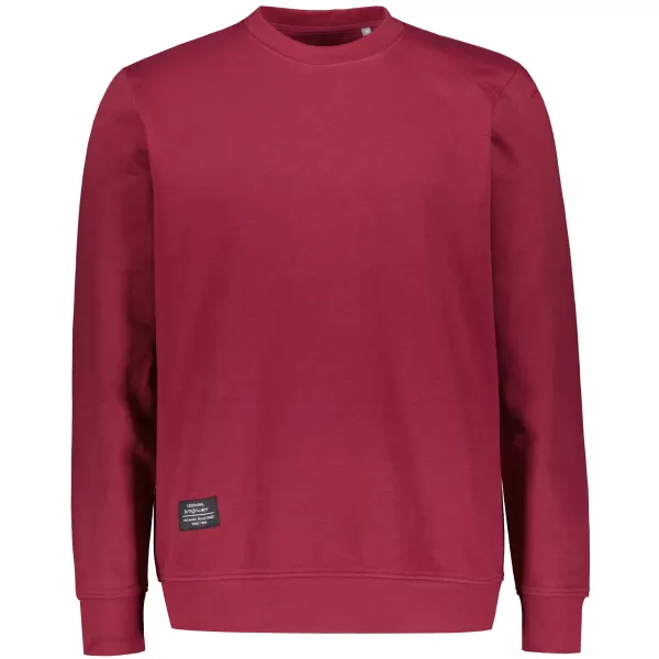  Moški pulover ALTISPORT NP/ALMST43001 BORDO 