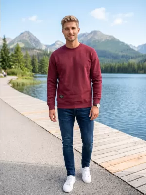Moški pulover ALTISPORT NP/ALMST43001 BORDO