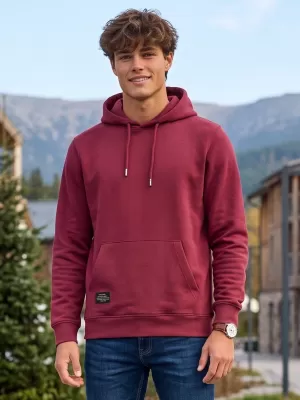 moški pulover ALTISPORT NP/ALMST44001 BORDO