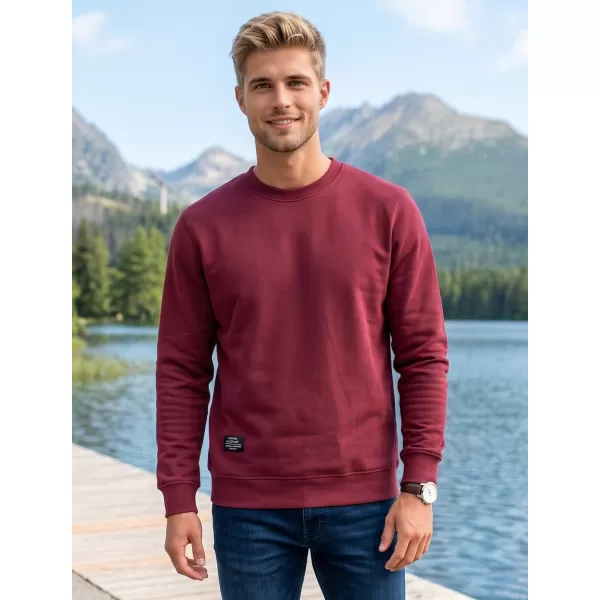  Moški pulover ALTISPORT NP/ALMST43001 BORDO 
