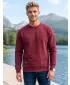 Moški pulover ALTISPORT NP/ALMST43001 BORDO