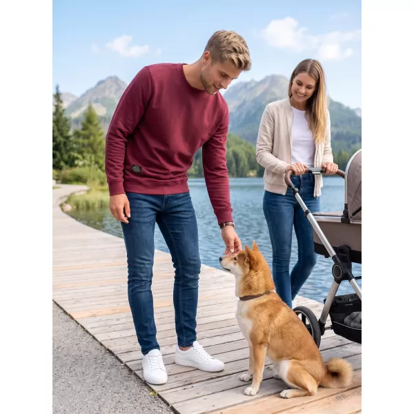  Moški pulover ALTISPORT NP/ALMST43001 BORDO 