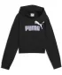 Otroški pulover PUMA ESS 2 COLOR NO. 1 LOGO SHORT LENGTH HOOD 68607255 PUMA ČRNA/SVETLA SIVKA