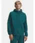 Moška jakna UNDER ARMOUR VIBE WOVEN JACKET 6003001-338 ZELENA