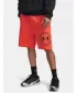 Moške kratke hlače UNDER ARMOUR RIVAL LW GRAPHIC SHORTS 6014689-690 RDEČA