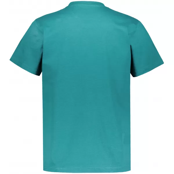  Moška majica s kratkimi rokavi ALTISPORT NP/ALMST20001 TEAL 