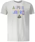 Srajca ALPINE PRO ABIC 7 MTSP404 SIVA