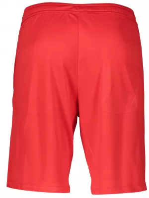 Moške kratke hlače ALTISPORT ALM006612 RDEČA