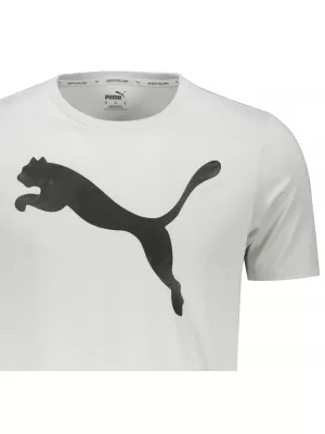 Moška majica s kratkimi rokavi PUMA ACTIVE BIG LOGO TEE 586724-09 SIVA