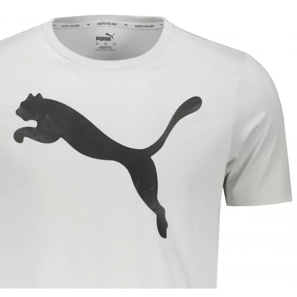  Moška majica s kratkimi rokavi PUMA ACTIVE BIG LOGO TEE 586724-09 SIVA 