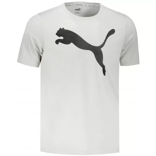  Moška majica s kratkimi rokavi PUMA ACTIVE BIG LOGO TEE 586724-09 SIVA 