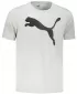 Moška majica s kratkimi rokavi PUMA ACTIVE BIG LOGO TEE 586724-09 SIVA