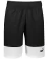Moške kratke hlače PUMA POWER COLORBLOCK WOVEN SHORTS 9 848819-01 ČRNA