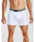 Moške boksarice UNDER ARMOUR CHARGED COTTON 6IN 3 PACK 1363617-100 BELA